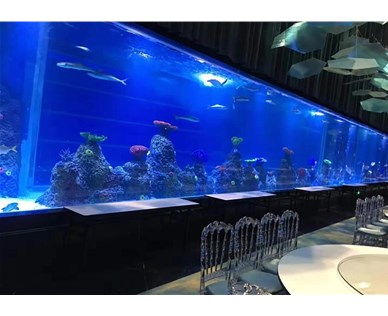 萌宠乐园如何构建生态系统？