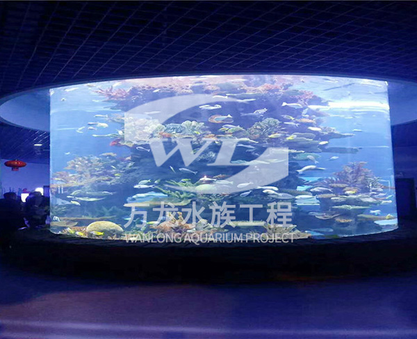 广东大型亚克力鱼缸
