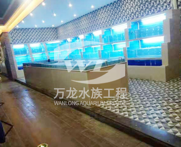 大型亚克力观赏鱼缸的过滤系统如何工作？