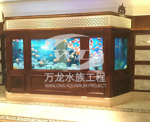 表演鱼缸为什么有异味
