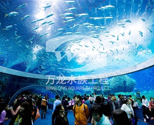 亚克力观赏鱼缸为什么有异味