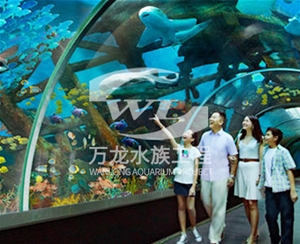 吃奶鱼鱼缸的过滤器使用特点