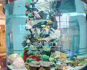 广东大型亚克力...