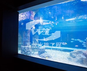 广东大型亚克力...