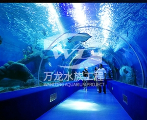 负压鱼缸爆裂是什么问题呢？    