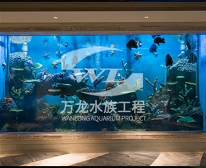 广东海底景观设计