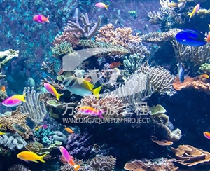 广东海底景观设计