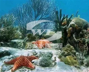 广东海底景观设计