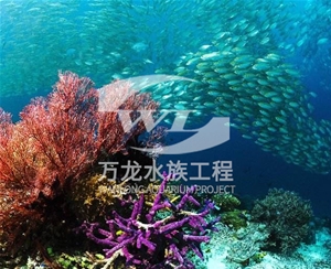 广东海底景观设计