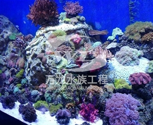 广东海底景观设计